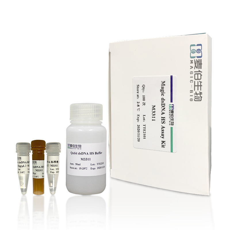 M331 Magic dsDNA HS Assay Kit